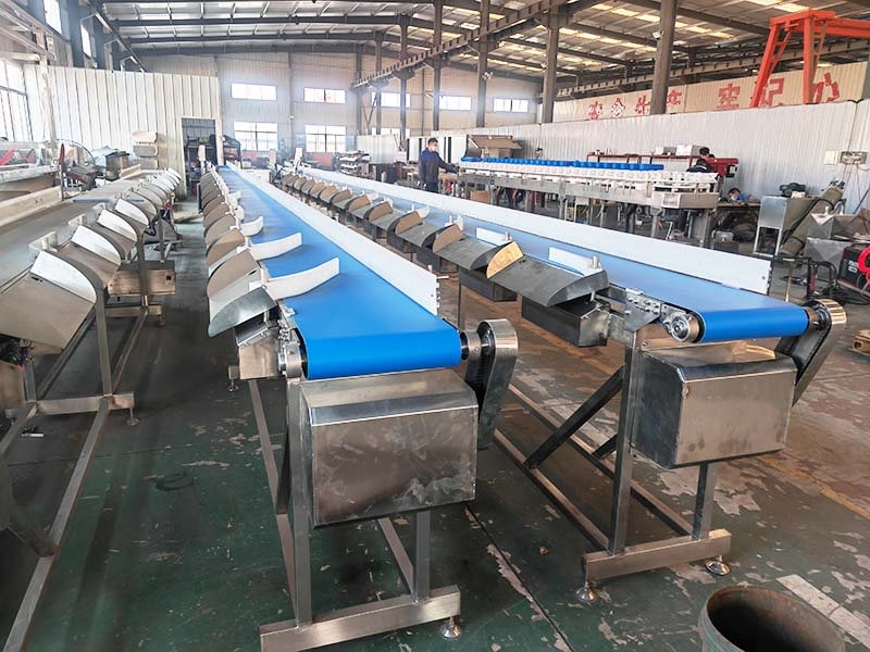 (皮帶式）重量分選機