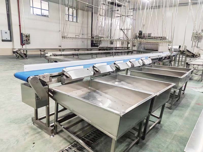 皮帶式）重量分選機(jī) (2)